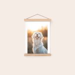 Personalized magnetic poster hanger with a photo of a happy white dog smiling in a field with sunlight