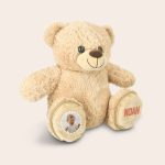 A personalized teddy bear with a printed baby photo on one foot and the name Noah on the other, both with feet pockets.